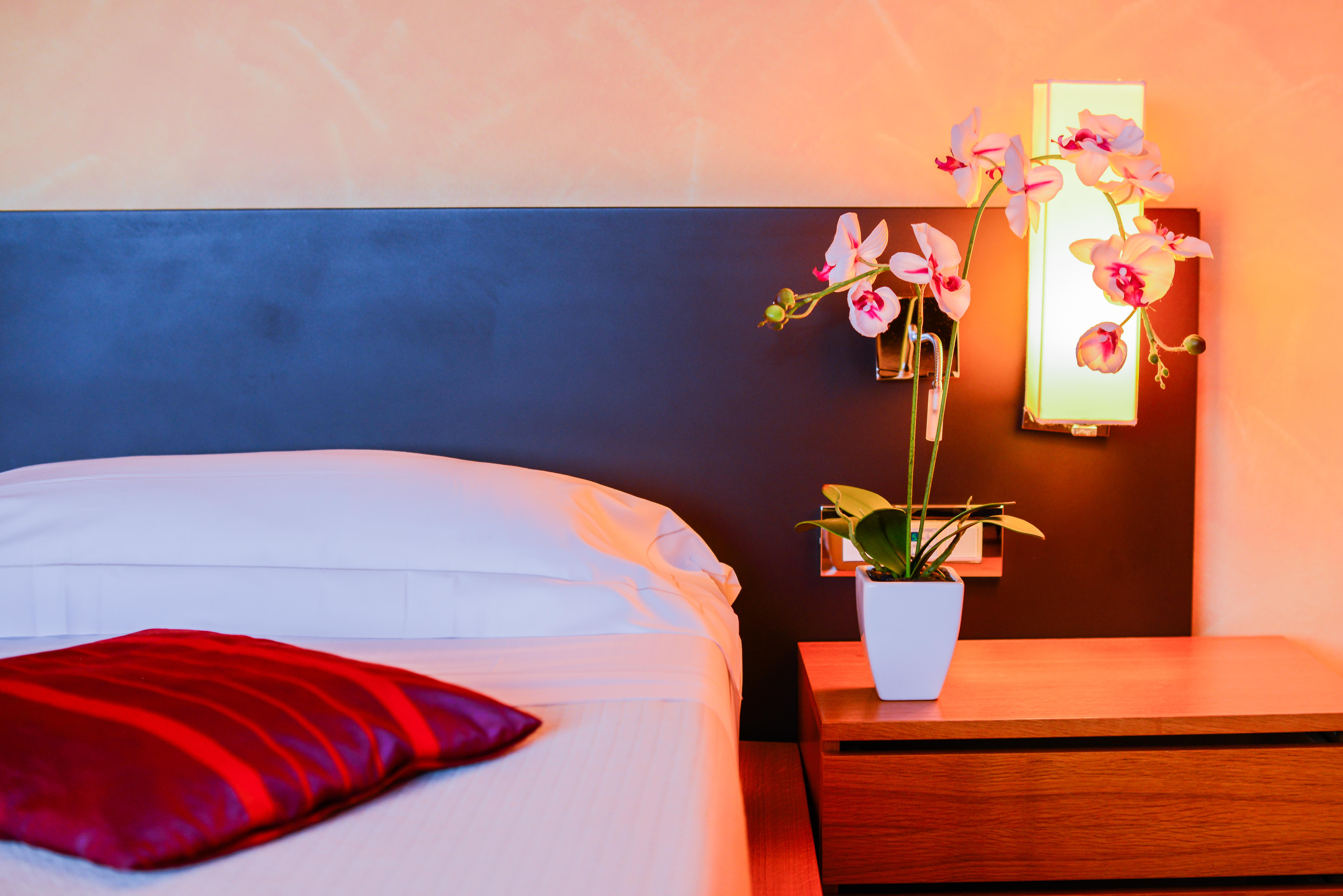 Ahg Donna Silvia Wellness Hotel Manerba del Garda Eksteriør bilde